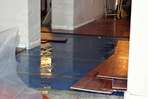 Professional Water Damage Restoration technician working in Fresno, TX